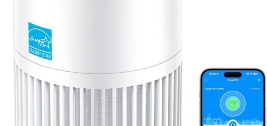 The Essential Guide to Air Purifiers: How They Work and Why You Need One